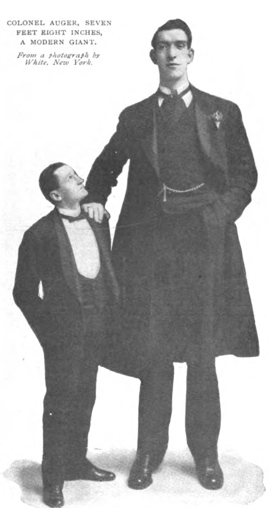 George Auger - The Cardiff Giant The tallest man Wales