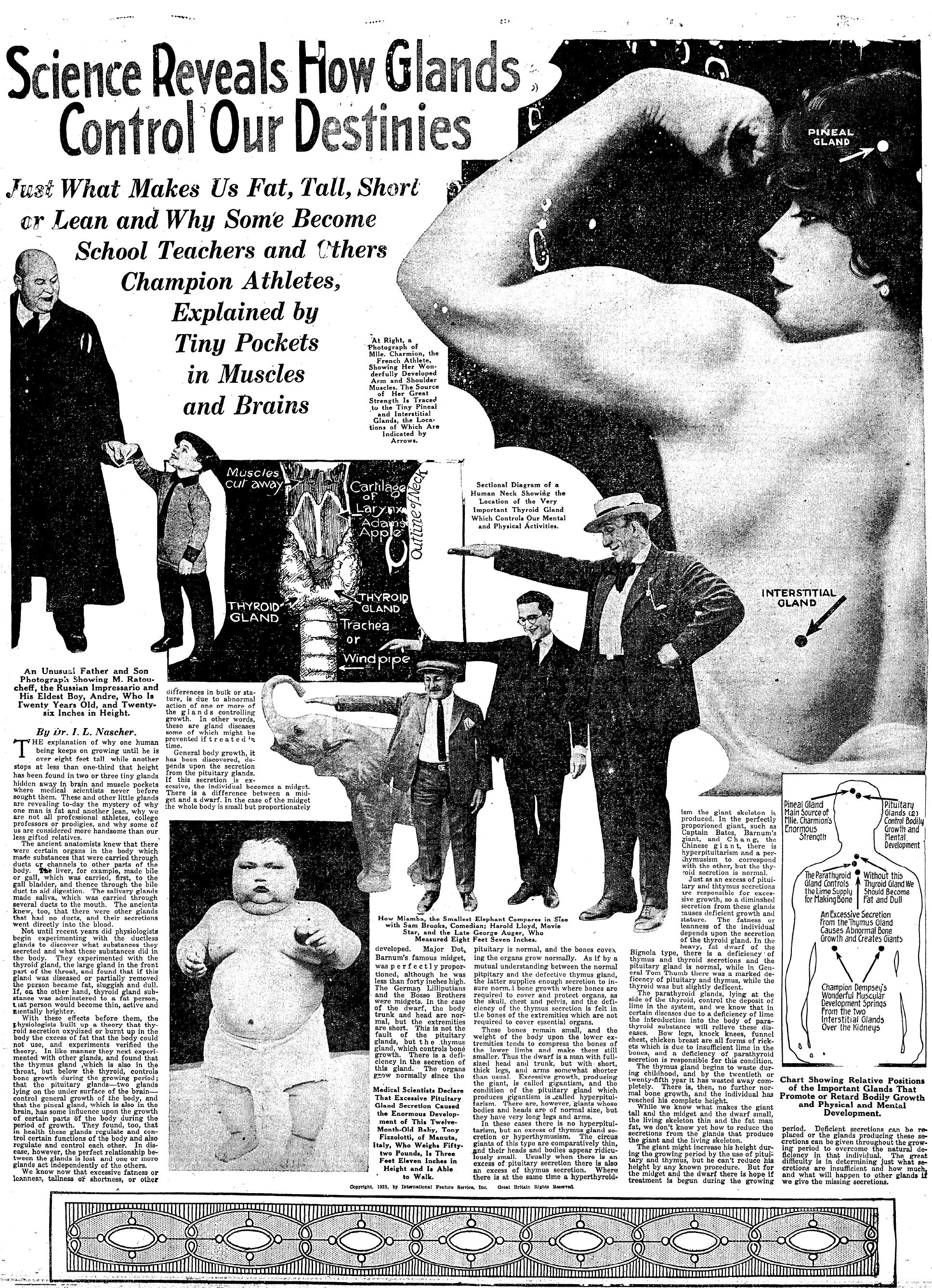 George Auger - The Cardiff Giant The tallest man Wales