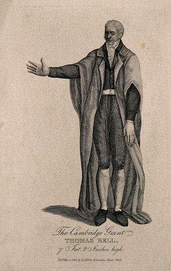 Thomas Bell The tallest man Cambridge Giant